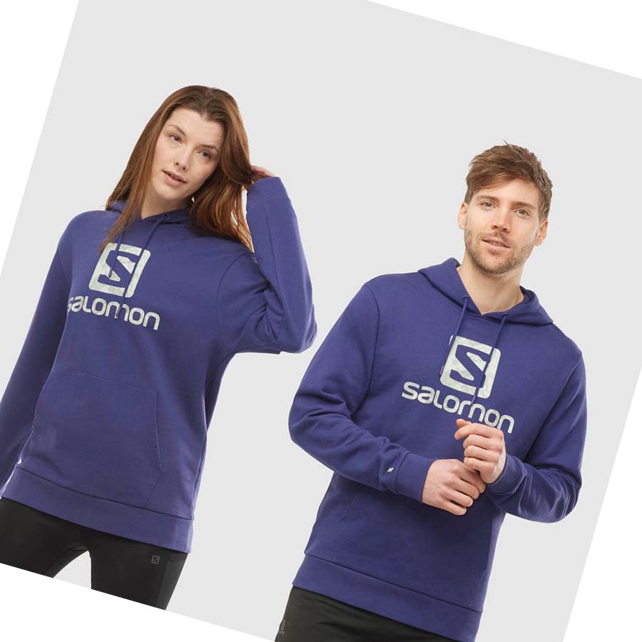 Sudadera Con Capucha Salomon OUTLIFE LOGO SUMMER Mujer Morados | MX 2538GSO